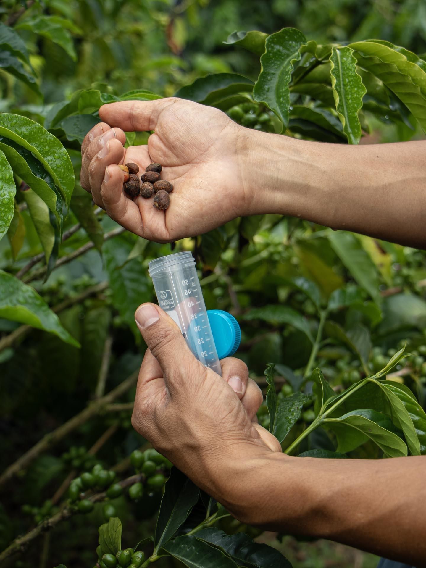 Farm Experiences & Guided Tours: Live the Origin