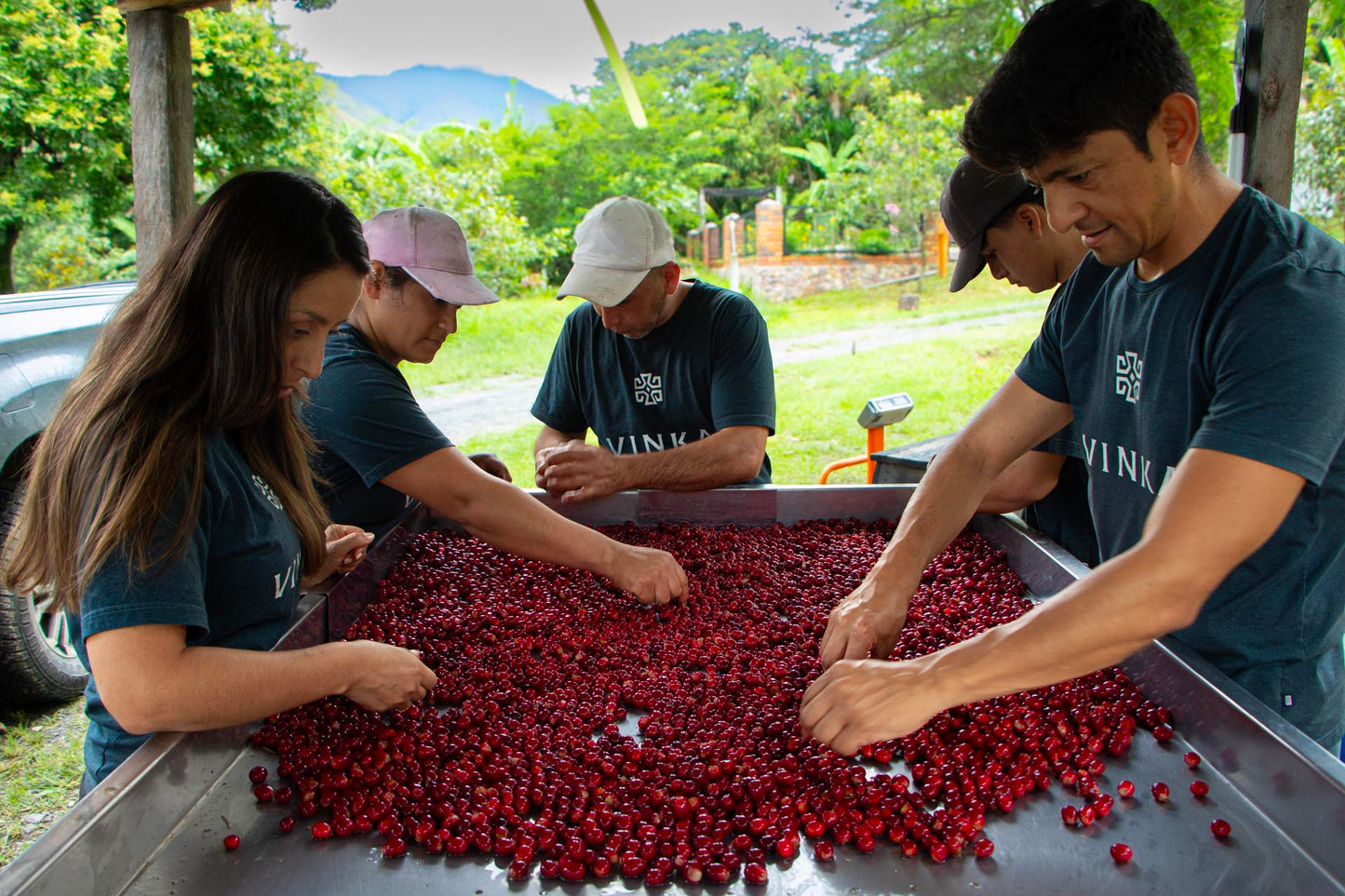 Farm Experiences & Guided Tours: Live the Origin