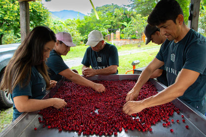 Farm Experiences & Guided Tours: Live the Origin