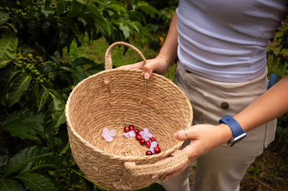 Farm Experiences & Guided Tours: Live the Origin