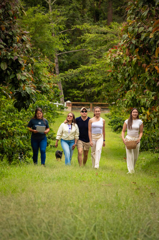 Farm Experiences & Guided Tours: Live the Origin